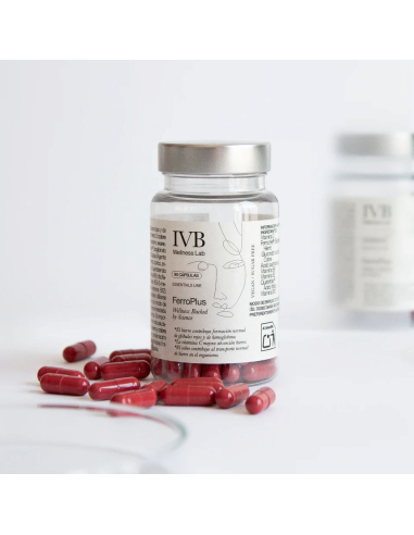 IVB FERROPLUS 90 CAPSULAS