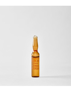 ENDOCARE C PROTEOGLICANOS OIL FREE 30AMP 2