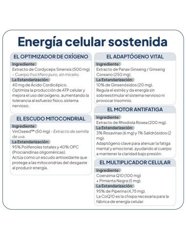 IVB ENERGY UP 60 CAP
