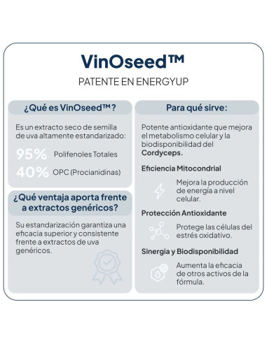 IVB ENERGY UP 60 CAP