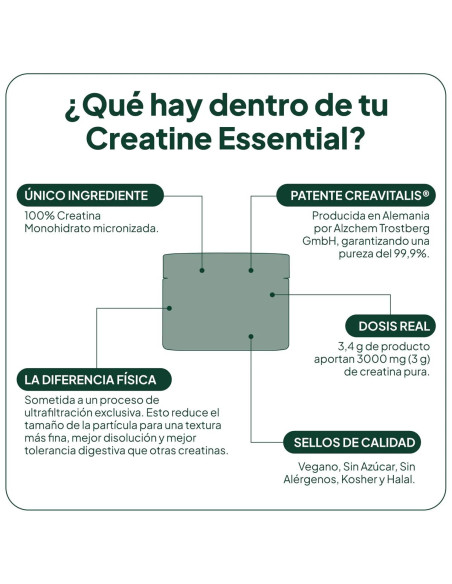 IVB CREATINE ESSENTIAL 60 TOMAS
