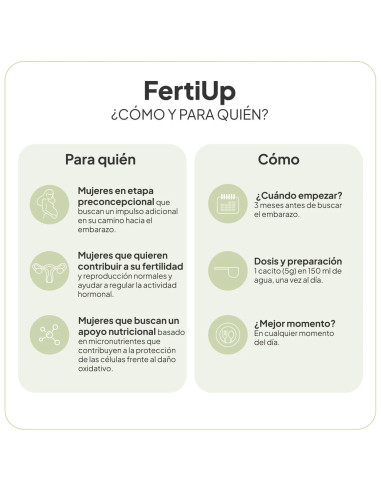 IVB FERTI UP PIÑA POLVO
