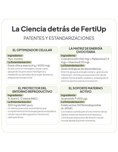 IVB FERTI UP PIÑA POLVO