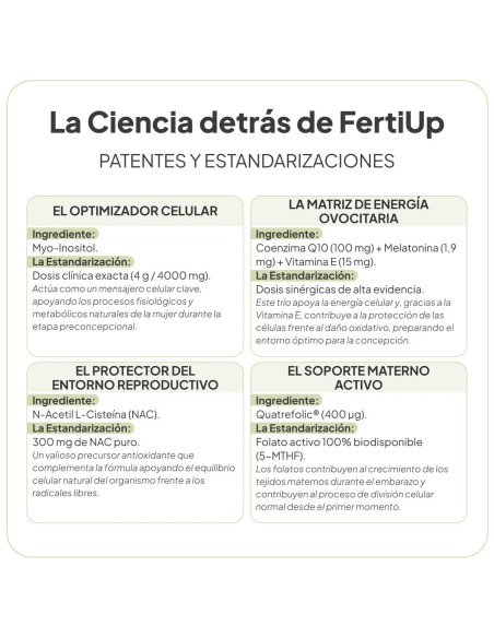 IVB FERTI UP PIÑA POLVO