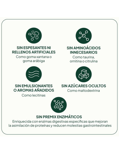 IVB PROTEINA VEGANA 500 G