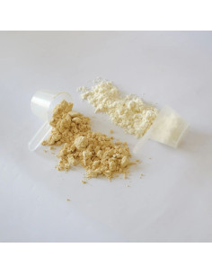 IVB PROTEINA VEGANA 500 G 2