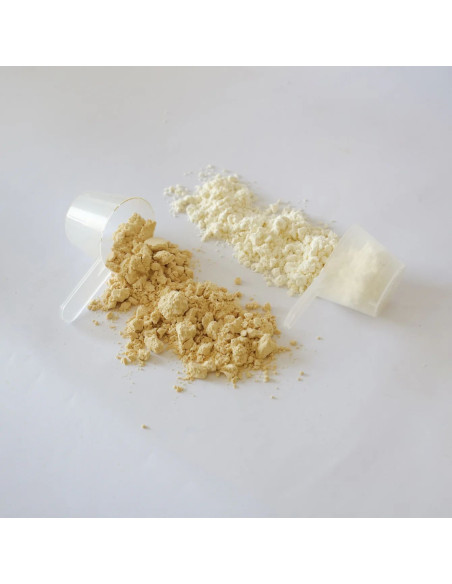 IVB VEGAN PROTEIN 500 G