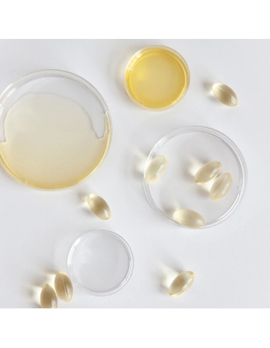 IVB VEGAN OMEGA 3 90 CAPS
