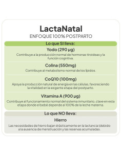 IVB LACTANATAL 60 CAP