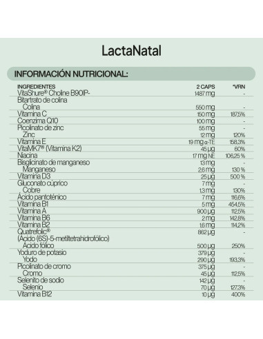 IVB LACTANATAL 60 CAP