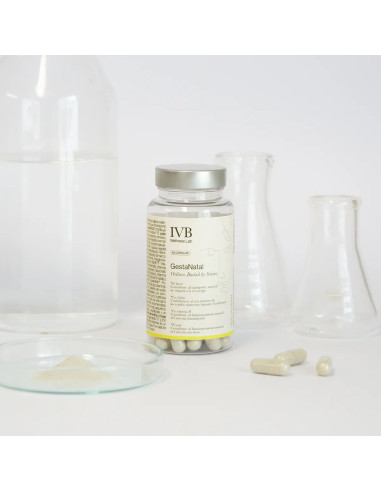 IVB GESTANATAL 60 CAP