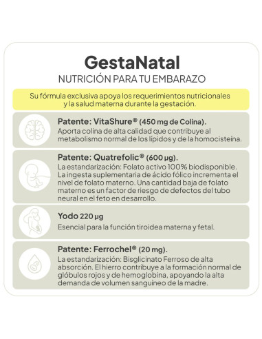 IVB GESTANATAL 60 CAP