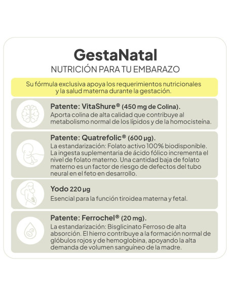 IVB GESTANATAL 60 CAP
