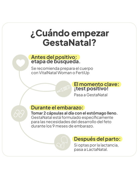IVB GESTANATAL 60 CAP