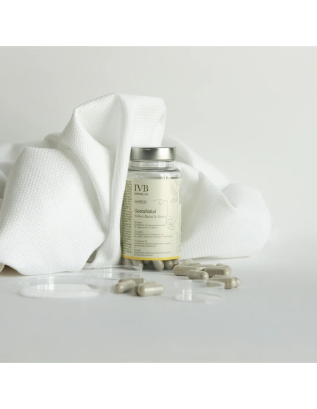 IVB GESTANATAL 60 CAP