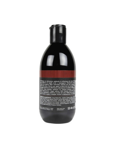 SENDO CHAMPÚ COLOR PROTECTION 250 ML