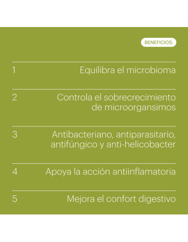 BELEVELS CLEAN GUT 45 PERLAS