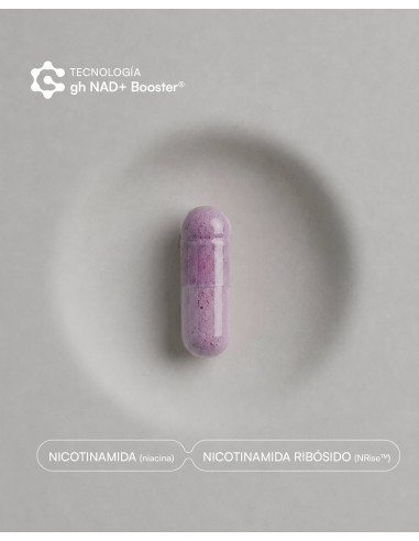GEMA HERRERIAS AOXDERM PIGMENT COMPLEMENTO 60CAPS