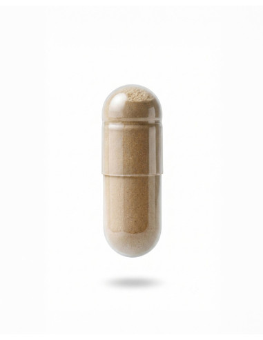 GEMA HERRERIAS PROBIODERM BALANCE COMPLEMENTO...
