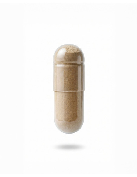 GEMA HERRERIAS PROBIODERM BALANCE COMPLEMENTO 30CAPS