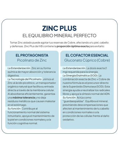 IVB ZINC PLUS 60 CAPS